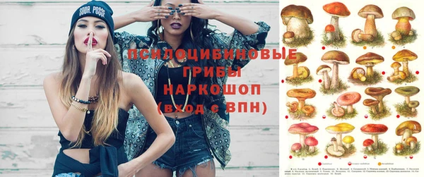 кокс Богданович