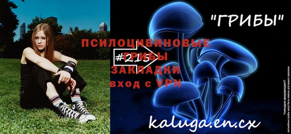 ECSTASY Богородск