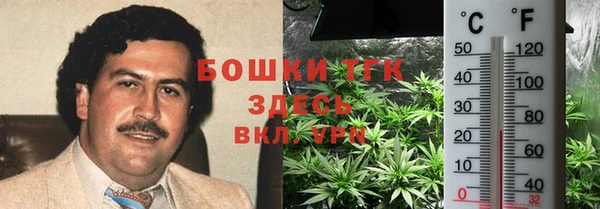 ECSTASY Богородск