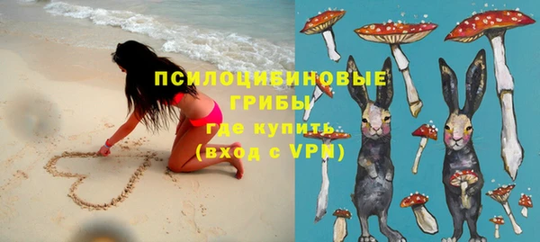 метадон Богородицк