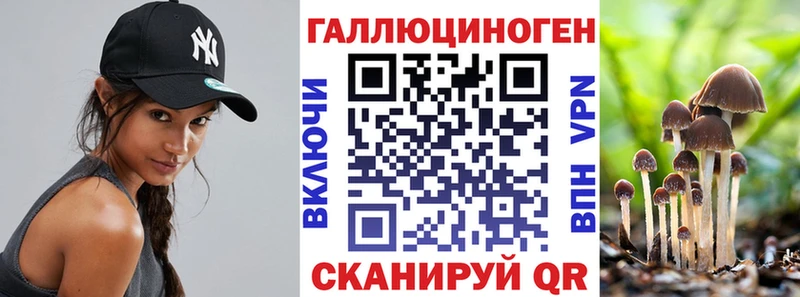 Псилоцибиновые грибы Cubensis  Кириллов 